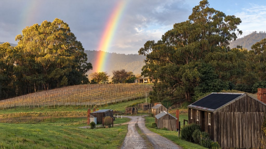 Huon Valley countryside with vineyard, farm buildings and a rainbow over the hills